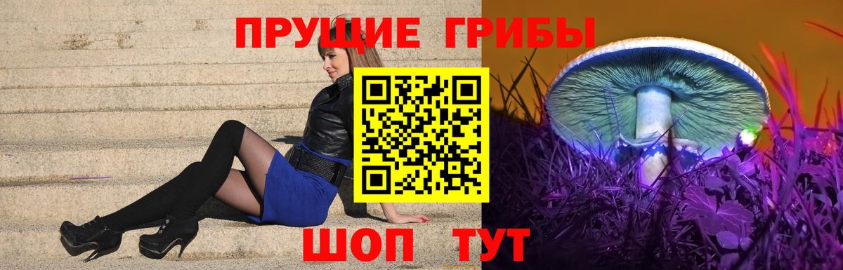 Щёкино  Галлюциногенные грибы мухоморы  Вход с VPN 